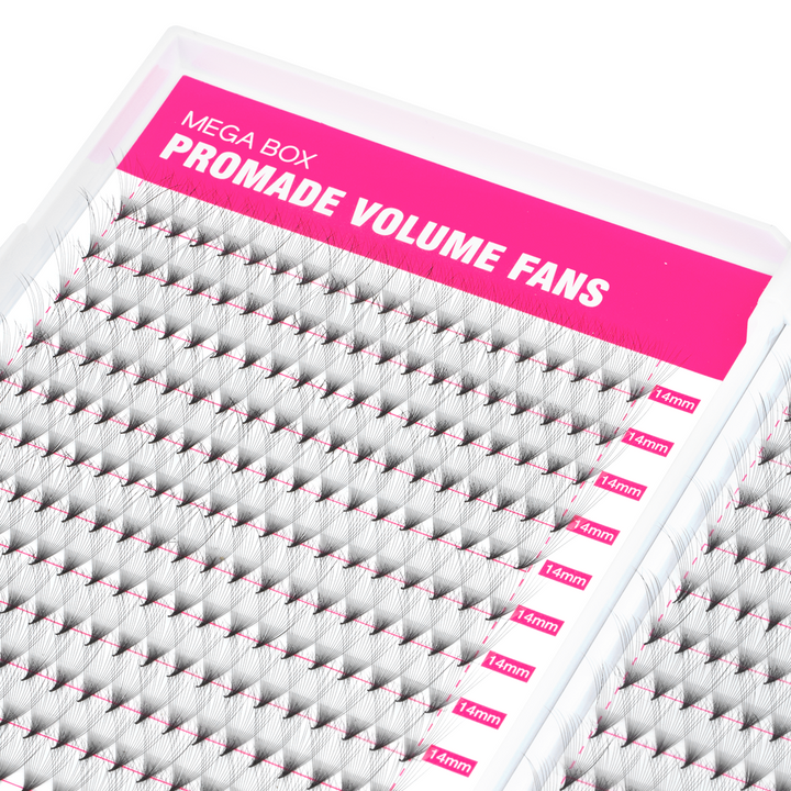 16D Promade Volume 500 Fans Lashbook TDANCE 2