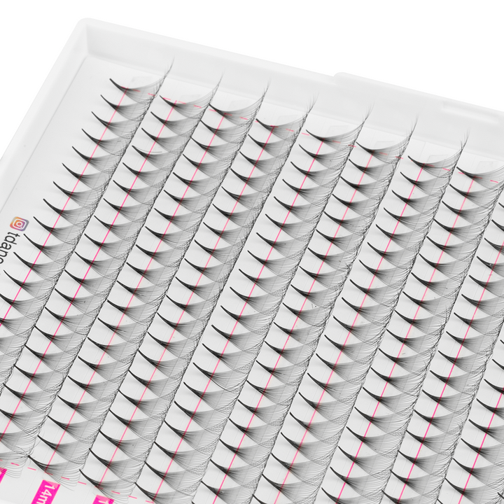 16D Promade Volume 500 Fans Lashbook TDANCE 3