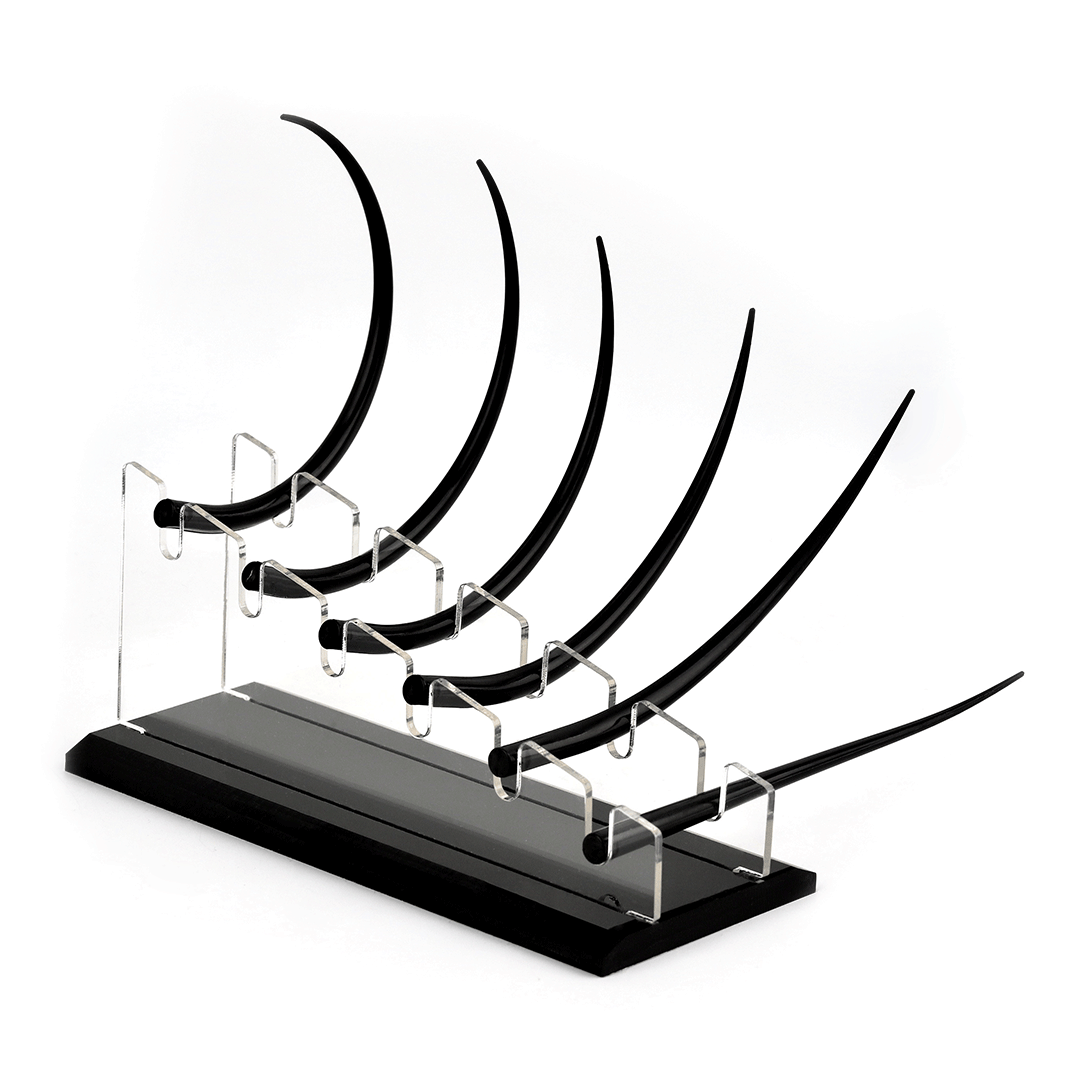 Eyelash Teaching Display Model- A2