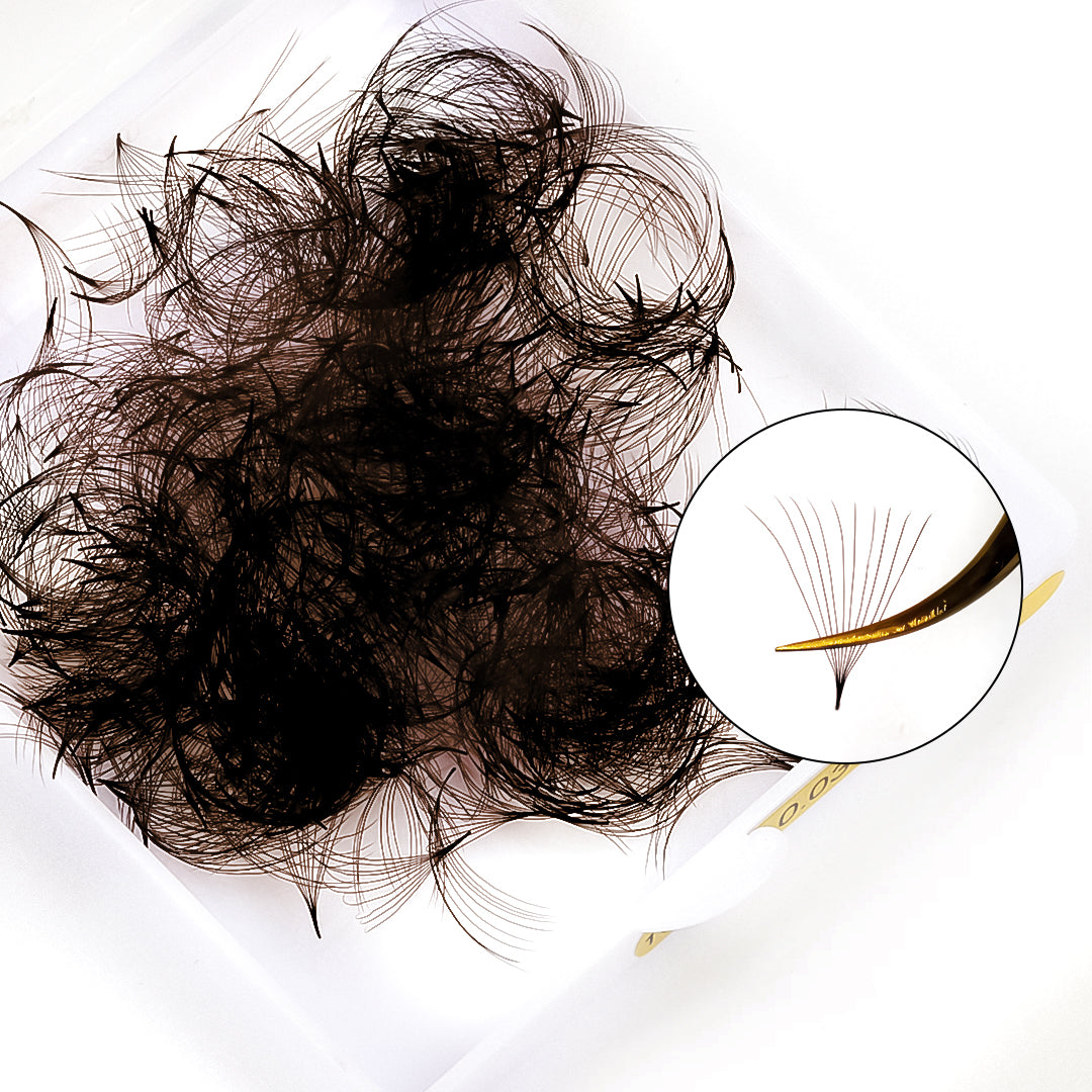 10D Colored Dark Brown Premade Volume Loose Fans(500 Fans) USA1