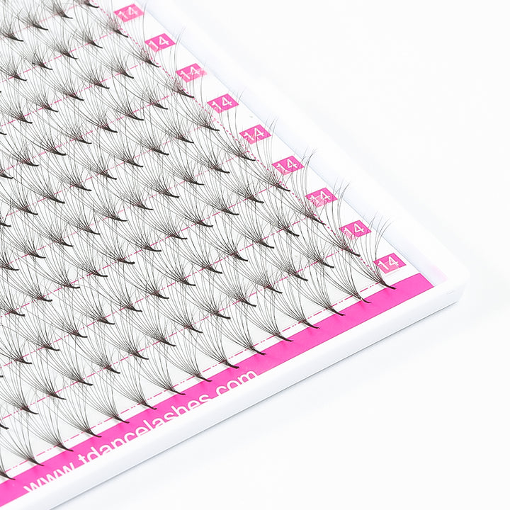 6D Double Layers Pointy Base Premade Volume Fans 320 Fans