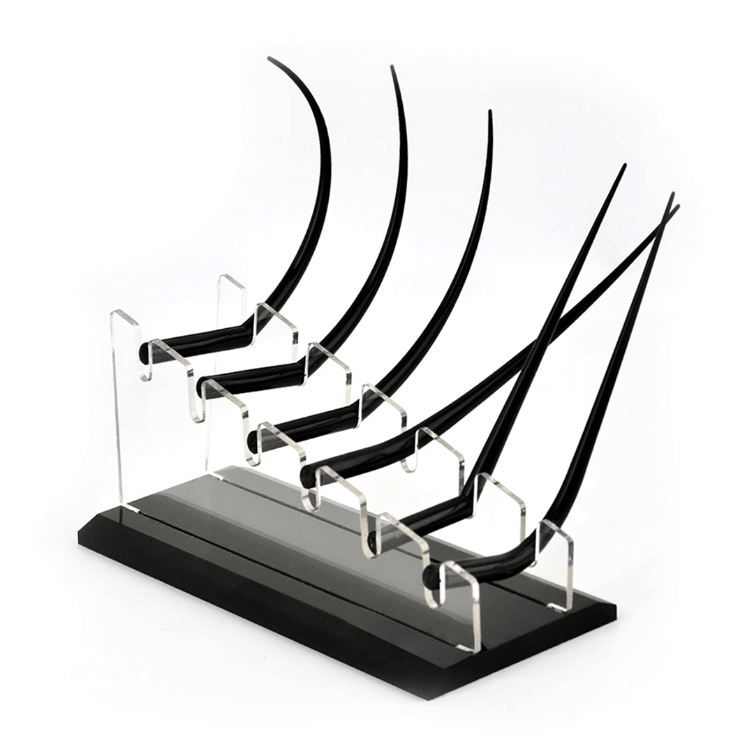 Eyelash Teaching Display Model- B2