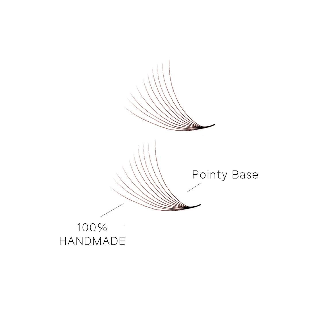 10D Colored Dark Brown Premade Volume Loose Fans(500 Fans) USA2