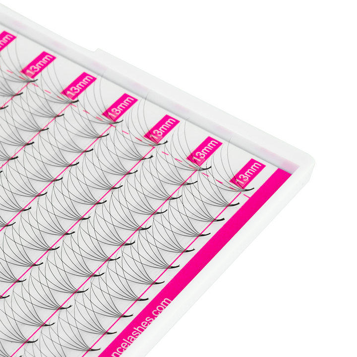 5D Promade Volume 500 Fans Lashbook TDANCE 2